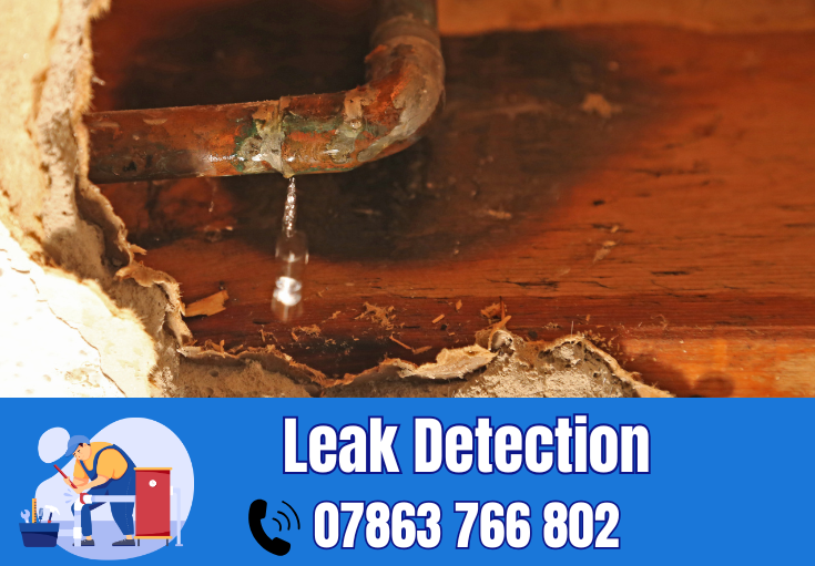 leak detection Golborne
