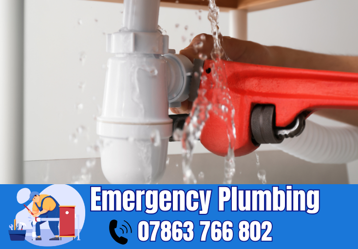  plumber Lowton