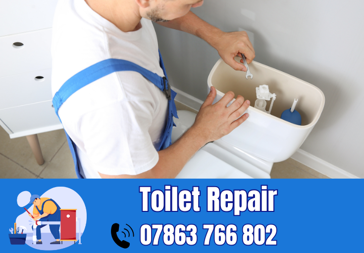 toilet repair Golborne
